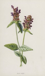 自己修復（クロモリト） 作： Frederick Edward Hulme