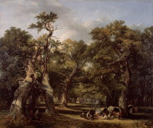 森の空き地、アーデン、ウォリックシャー、1845 年。