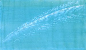鯖のうろこと雌馬のしっぽで、低い帆を張る船を高くする」（水彩・白チョーク・紙） 作： Frederick Joseph Butler Lines