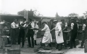 1925年6月、ロンドン動物園の動物学協会のスタッフ11名のメンバーが運ぶ20フィートの長さのPython 作： Frederick William Bond