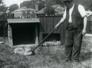 1925年9月、ロンドン動物園のデンの前の芝生で、飼育係が保持しているモップで遊ぶライオンの子 作： Frederick William Bond