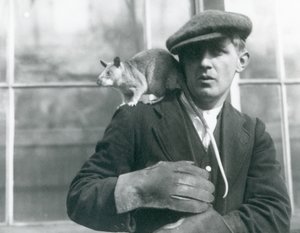 飼育員の肩に座るマダガスカルオオネズミ（ロンドン動物園 作： Frederick William Bond