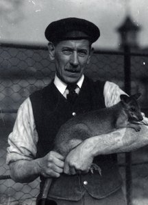 ワラビーを抱く飼育員（1920年10月）（モノクロ写真 作： Frederick William Bond