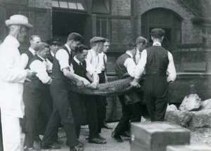 1924年にロンドン動物園でピーターチャーマーズミッチェル卿が見守るアリゲーターを運ぶ男性のチーム 作： Frederick William Bond