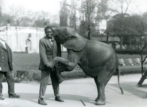 1925年7月、ロンドン動物園で飼育係が見ている間、若いアフリカのピグミーエレファントが後ろ足で立ってアフリカのトレーナーを抱きしめています。