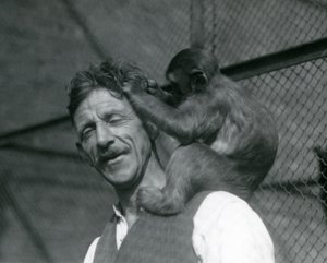 飼育員のフレインの髪を手入れする若い猿（ロンドン動物園、1928年）（モノクロ写真 作： Frederick William Bond