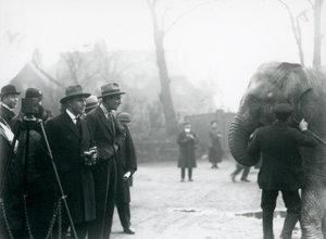 1925年にロンドン動物園からの外部放送に参加したインド象、おそらくサンデマーラ 作： Frederick William Bond