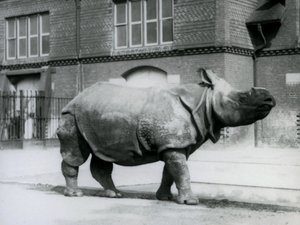 ロンドン動物園でのインディアンサイ、1927年 作： Frederick William Bond