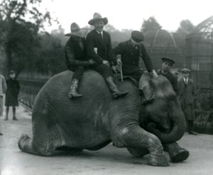 1924年にロンドン動物園を訪問中のカウボーイと女性インド象サンデマーラのトレーナー