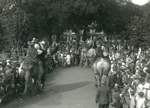 1926年8月、ロンドン動物園で3頭のアジアゾウを大勢の観客が見守る中でのエレファントライド（モノクロ写真 作： Frederick William Bond