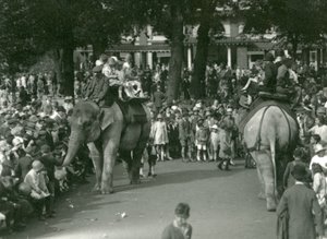 1926年8月、ロンドン動物園で2頭のアジアゾウを大勢の観客が見守る中でのエレファントライド（モノクロ写真 作： Frederick William Bond