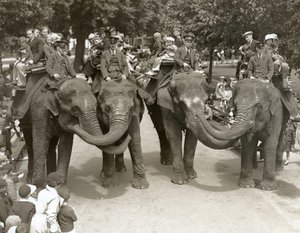1936年7月、ロンドン動物園で象に乗る 作： Frederick William Bond