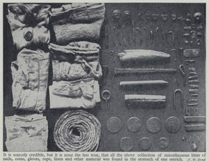 ダチョウの胃の中から発見されたもの（モノクロ写真 作： Frederick William Bond