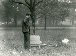 ミツバチの群れを動かすキーパーブラウン、ロンドン動物園、1926年7月 作： Frederick William Bond