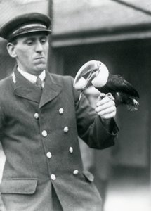 飼育係のトーマスラゲット、1924年にロンドン動物園で卵を口にしたオオハシオオハシを抱きしめる 作： Frederick William Bond