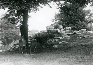 1924年にロンドン動物園でエランドアンテロープパドック 作： Frederick William Bond