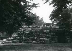 1924年6月にロンドン動物園でエランドアンテロープパドック 作： Frederick William Bond