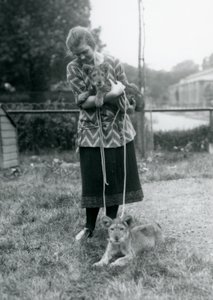 1925年8月にロンドン動物園で若い女性と2頭のライオンの子 作： Frederick William Bond