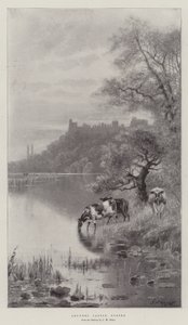 アランデル城、サセックス 作： Frederick William Hayes