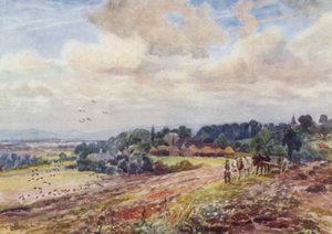 空腹のグラフトン 作： Frederick William Newton Whitehead