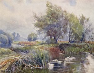 エイボン、ストラトフォードオンエイボンの下 作： Frederick William Newton Whitehead