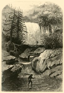 「ブラックウォーターの滝」、1872 年。 作： Frederick William Quartley