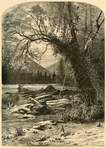 「フレンチブロード」、1872年。 作： Frederick William Quartley