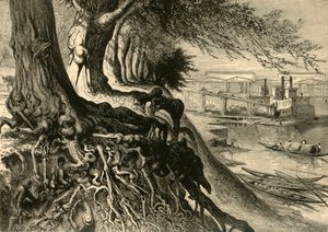「サバンナ、オーガスタ」、1872 年。