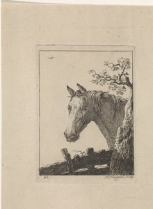 馬の頭 作： Frederik Lodewijk Huygens