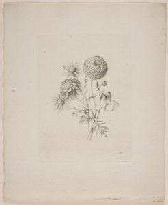 花のモチーフ 作： Frederik Schepelern