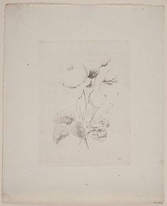 花のモチーフ 作： Frederik Schepelern