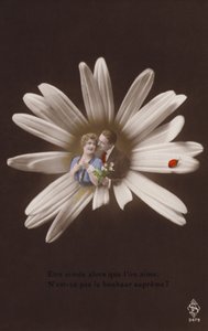 テントウムシと花の中心にいる若いカップル（色付きのフォトコラージュ） 作： French Photographer