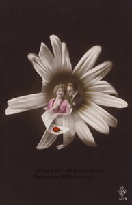 テントウムシと花の中心にいる若いカップル（色付きのフォトコラージュ） 作： French Photographer