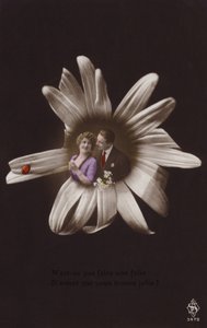 テントウムシと花の中心にいる若いカップル（色付きのフォトコラージュ） 作： French Photographer