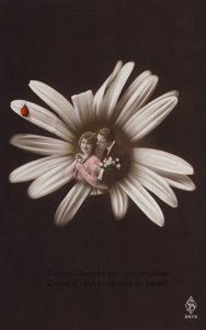 テントウムシと花の中心にいる若いカップル（色付きのフォトコラージュ） 作： French Photographer