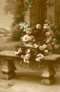 かごの中の赤ちゃん 作： French Photographer