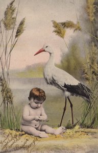 コウノトリと赤ちゃん 作： French Photographer