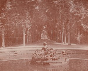 ベルサイユ公園「フローラの盆地」（モノクロ写真 作： French Photographer