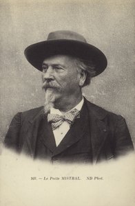 フレデリックミストラル（1830〜1914年）、フランスの詩人、オクシタン語の辞書編集者