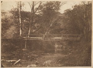 樹木と橋のある風景,c.1850年（写真） 作： フランスの写真家