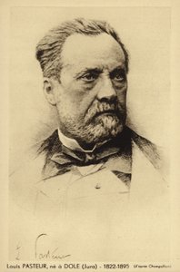 ルイパスツール（1822-1895）、フランスの化学者および微生物学者 作： French Photographer