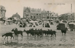 Mers-ビーチの一部。 1913年に送られたはがき。 作： French Photographer