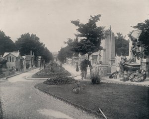 パリペール・ラシェーズ墓地のプリンシパル・アヴェニュー（モノクロ写真 作： French Photographer