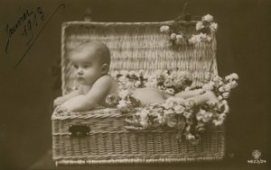1913年1月に送付された、花が付いた籐のバスケットに入った赤ちゃんのはがき 作： French Photographer