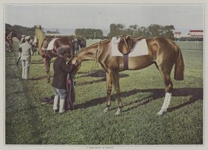 フランス・ドーヴィルの競走馬たち（カラー写真 作： French Photographer