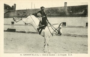ソミュール（メインエロワール）、騎兵学校、ラクルパド 作： French Photographer