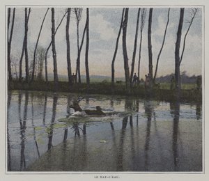 狩りから逃れるために泳ぐ雄鹿（カラー写真 作： French Photographer