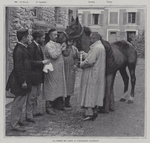 パリのパスツール研究所で馬の血液を採取する様子（モノクロ写真 作： French Photographer