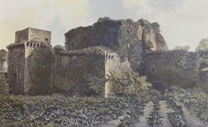 ティフォージュ、シャトーの遺跡、中庭からの眺め 作： French Photographer