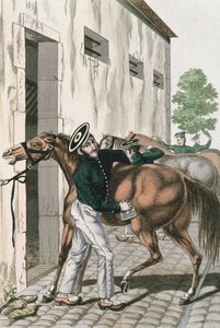 一連のフランス帝国兵士のプレート257、c.1800-10の馬をグルーミングする竜騎兵